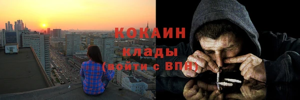 прущие крисы Гусев