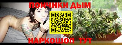 стаф Боровичи