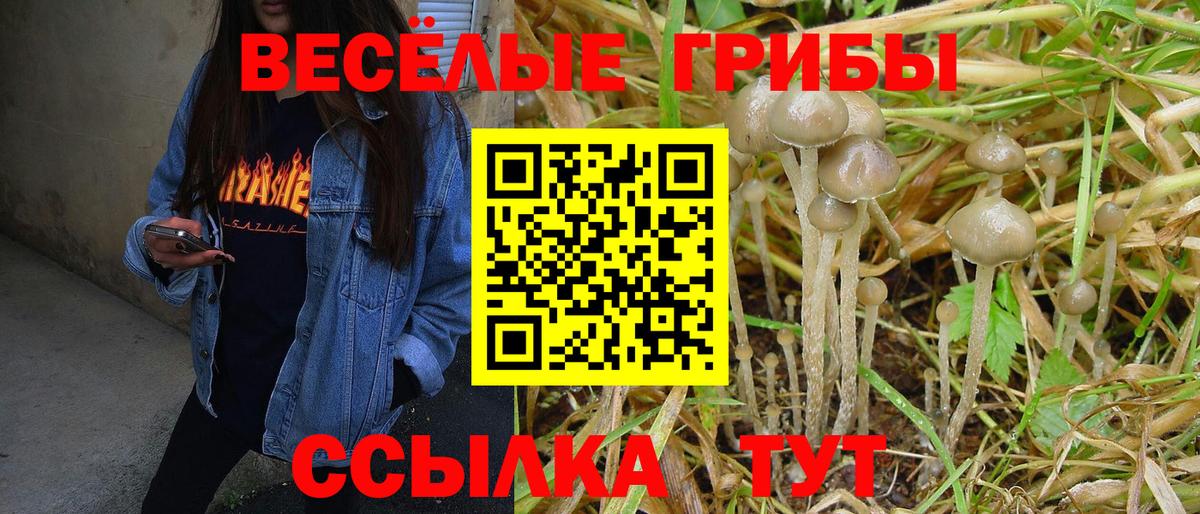Псилоцибиновые грибы мухоморы  Вход с VPN  Алексеевка 